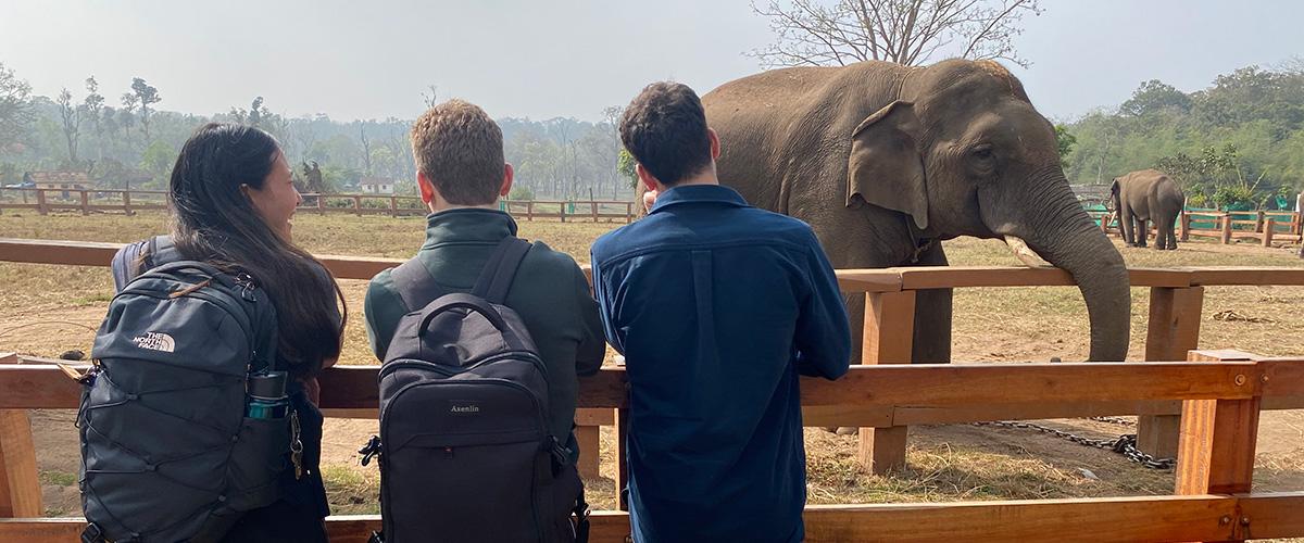 Students in India are pictured near an elephant. 