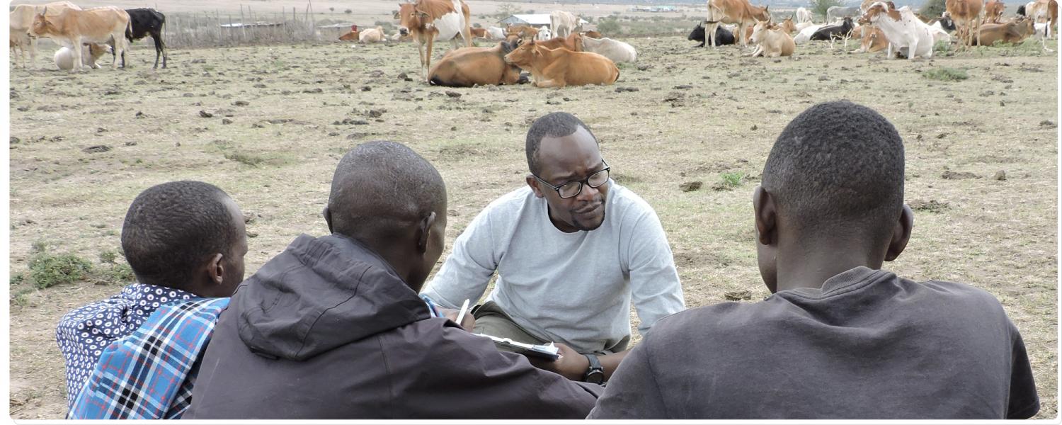A man talks to three men; cows line the background